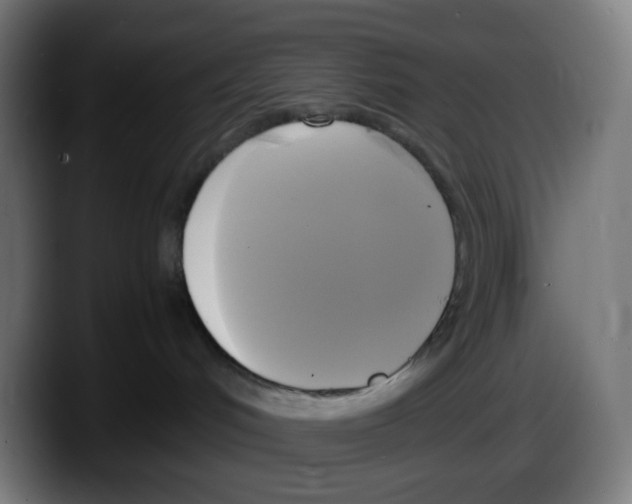 X0000087540048200705251729