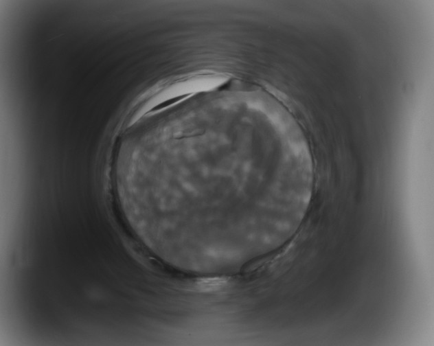 X0000087540050200705251728