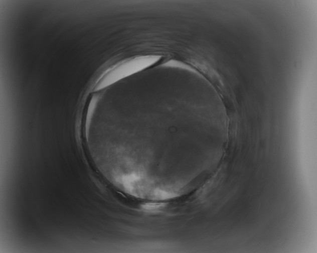 X0000087540051200705251728