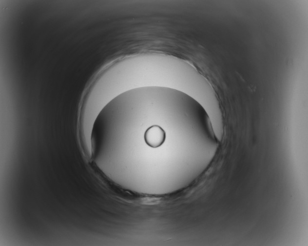 X0000087540052200705251728