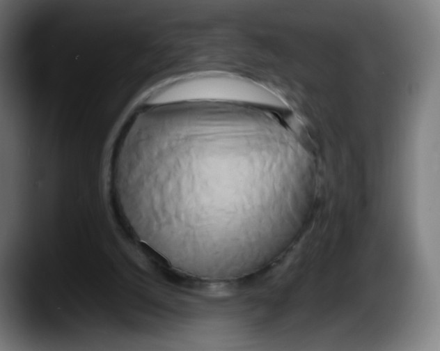 X0000087540056200705251728