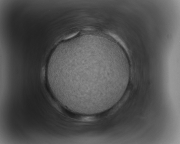 X0000087540057200705251728