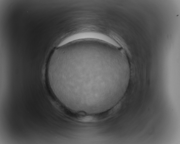 X0000087540058200705251728