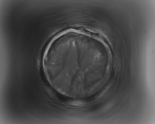 X0000087540063200705251728