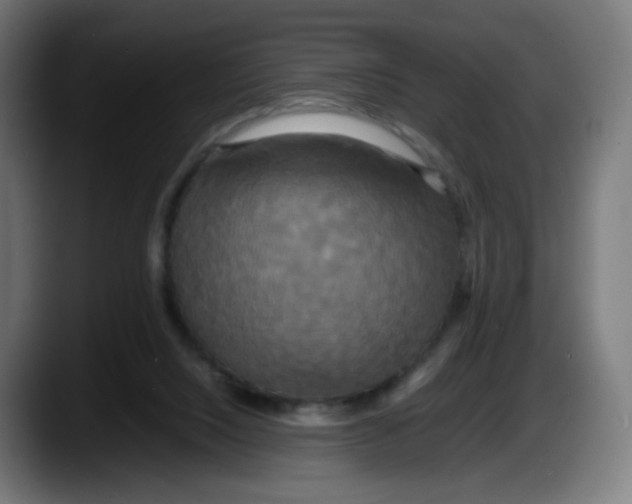 X0000087540064200705251728