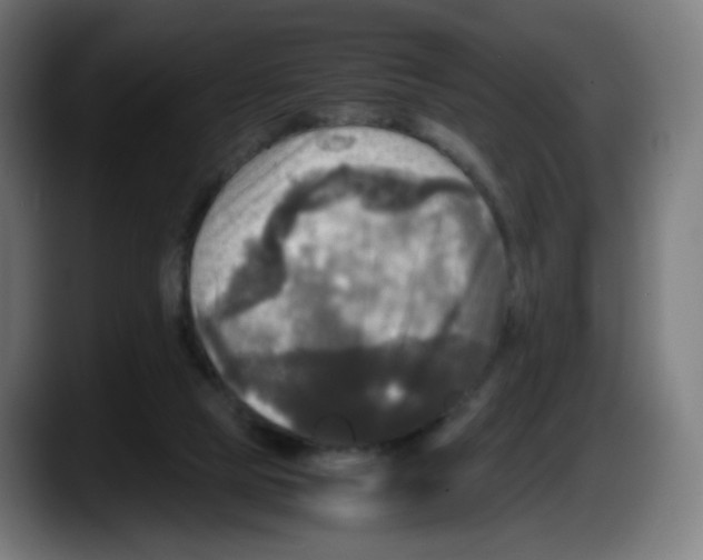 X0000087540065200705251728