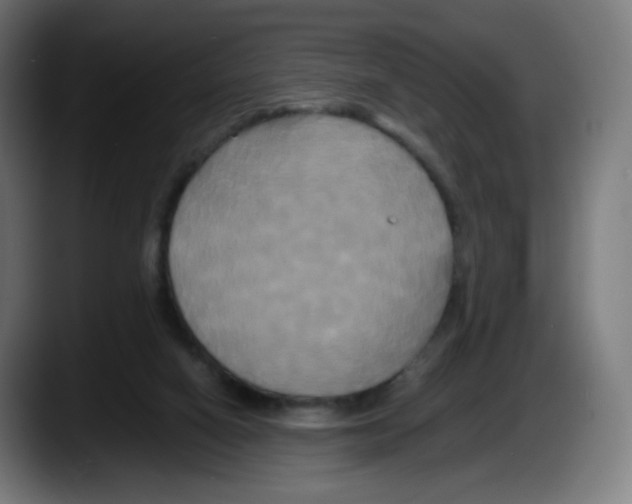 X0000087540066200705251728