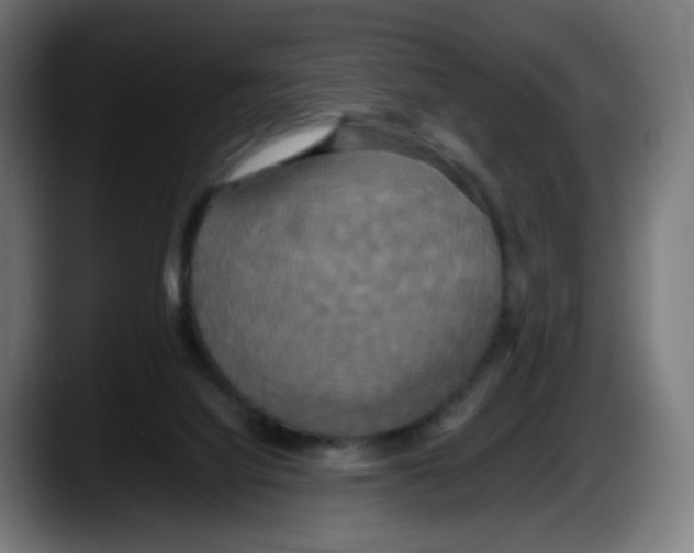 X0000087540068200705251728