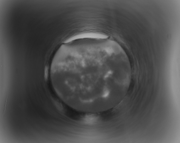 X0000087540070200705251728