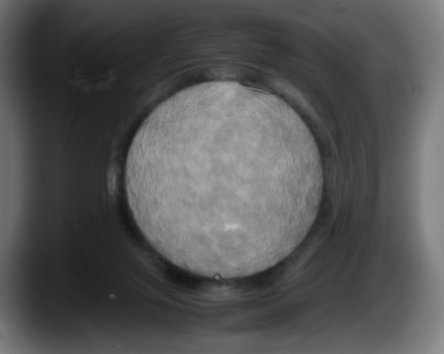 X0000087540071200705251728