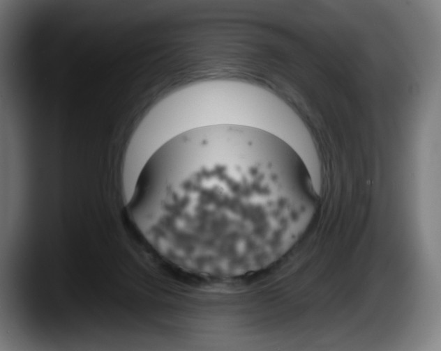 X0000087540072200705251728