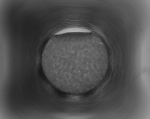 X0000087540073200705251728