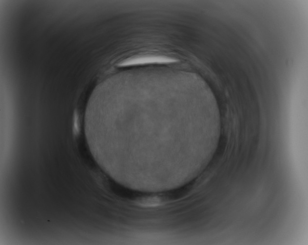 X0000087540075200705251728