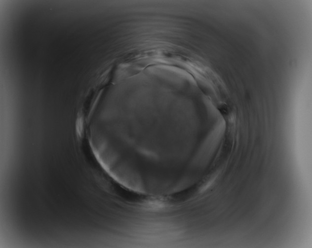 X0000087540076200705251728