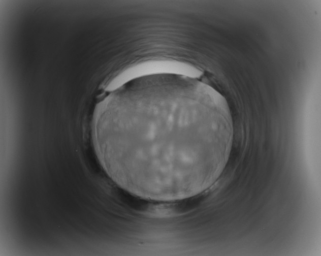 X0000087540078200705251728