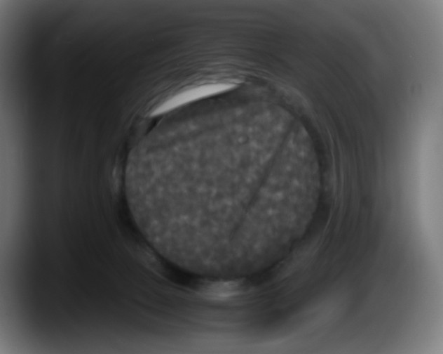 X0000087540081200705251728