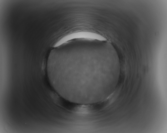 X0000087540082200705251728