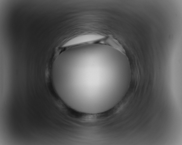 X0000087540084200705251729