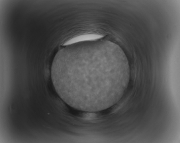 X0000087540085200705251729