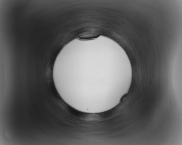 X0000087540087200705251729