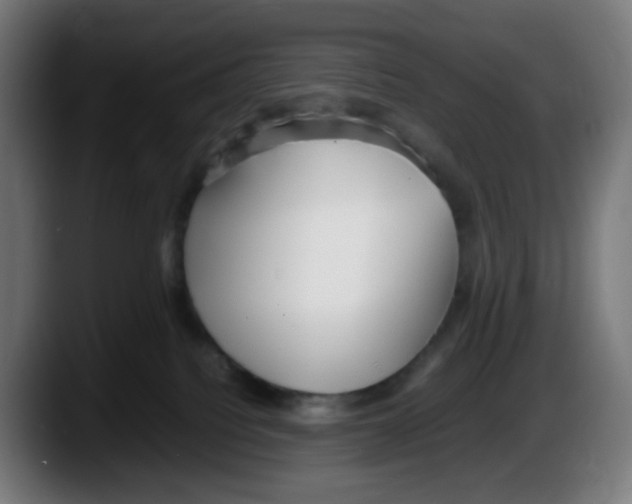 X0000087540088200705251729