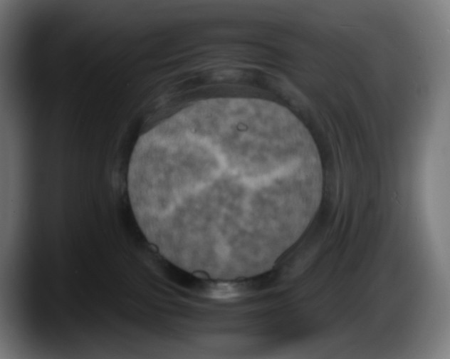 X0000087540091200705251729