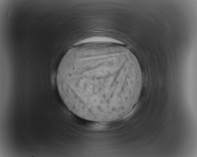 X0000087540094200705251729