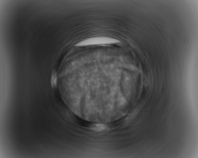 X0000087540095200705251729