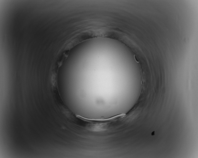 X0000087540096200705251729