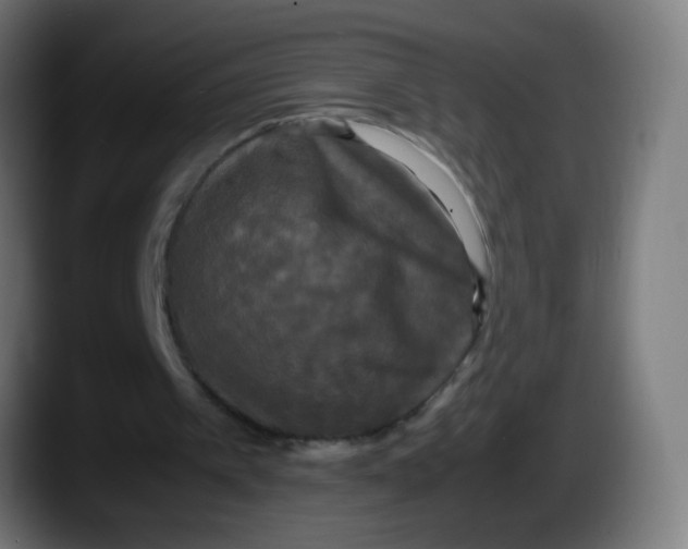 X0000087540097200705251728