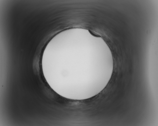 X0000087540098200705251728