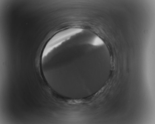 X0000087540099200705251728