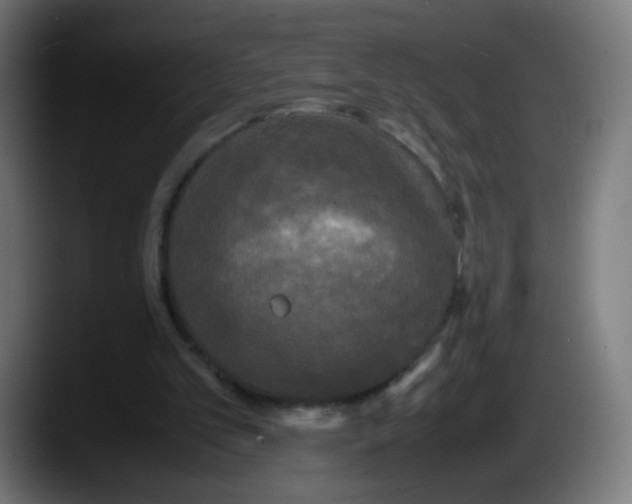 X0000087540101200705251728