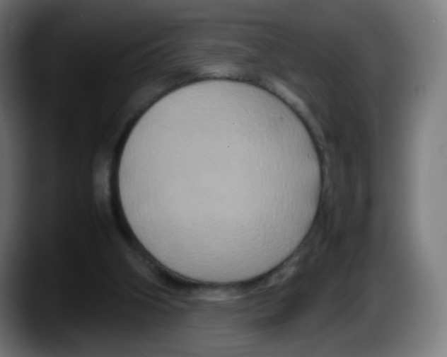 X0000087540106200705251728