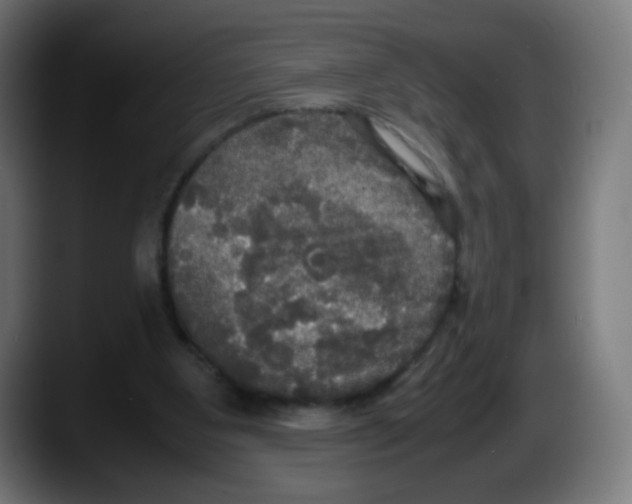 X0000087540107200705251728