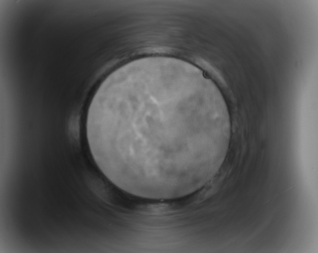 X0000087540108200705251728