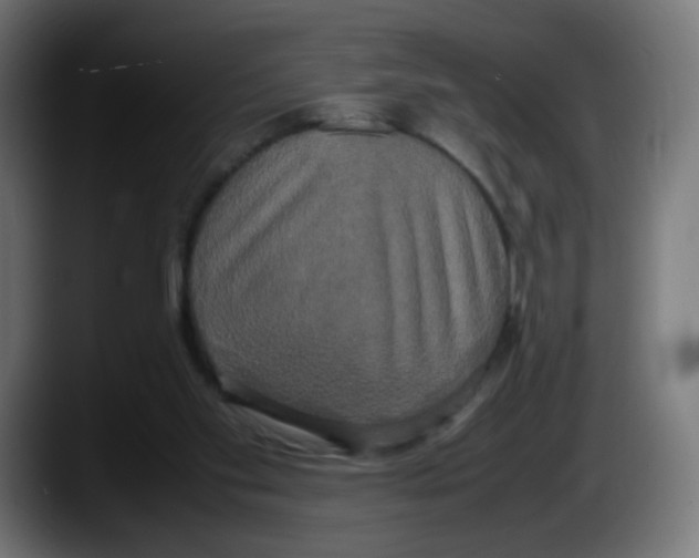 X0000087540109200705251728