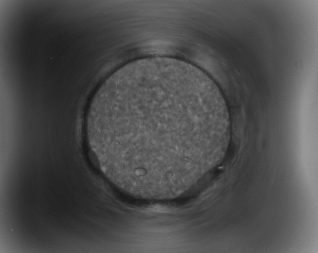 X0000087540111200705251728