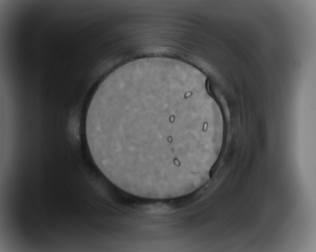 X0000087540112200705251728