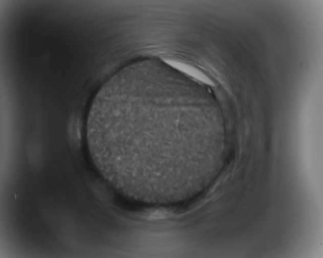 X0000087540115200705251728