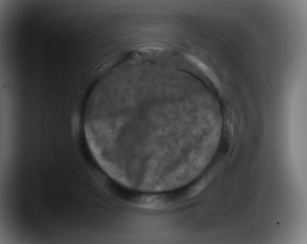 X0000087540117200705251728