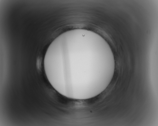 X0000087540118200705251728