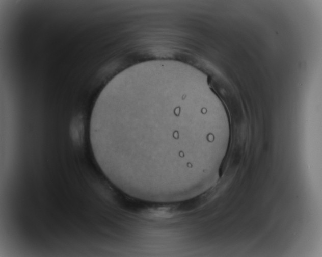 X0000087540120200705251728