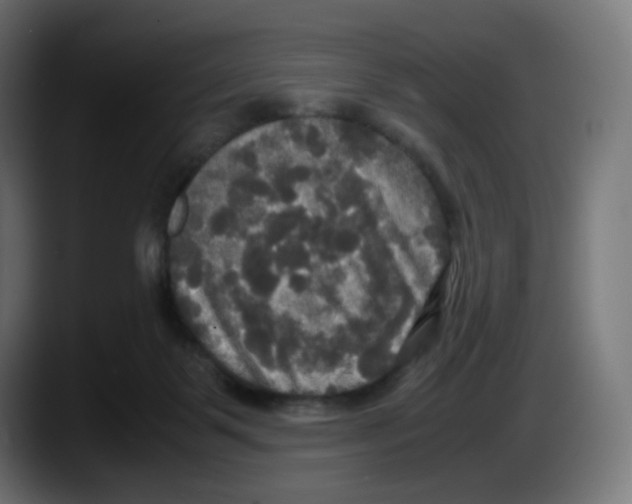 X0000087540123200705251728