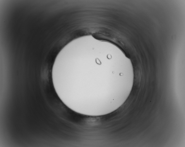 X0000087540126200705251728