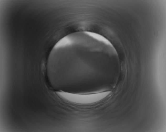 X0000087540127200705251728