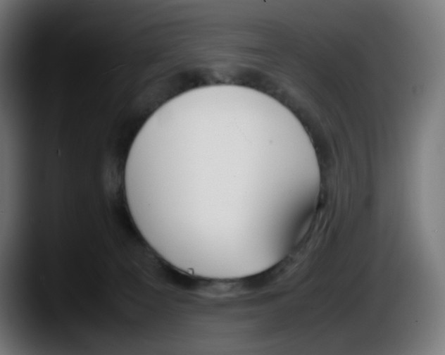 X0000087540129200705251728