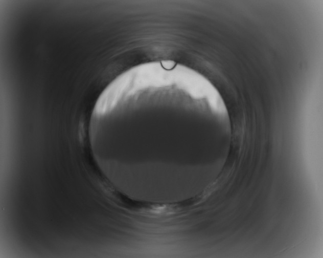 X0000087540130200705251728