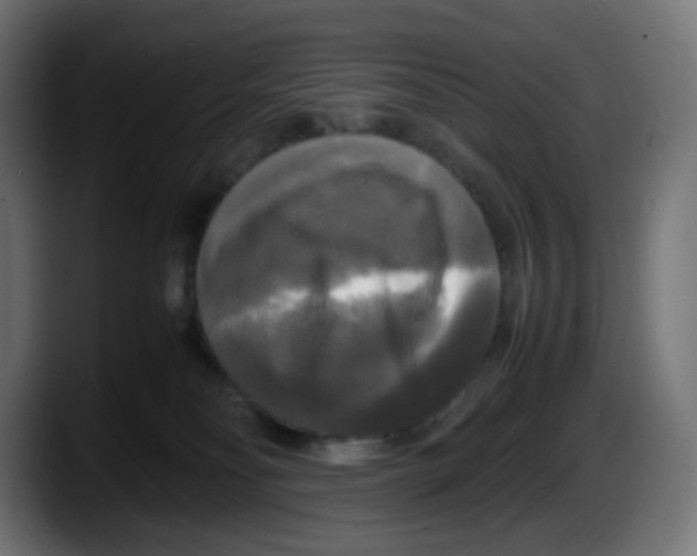 X0000087540134200705251728