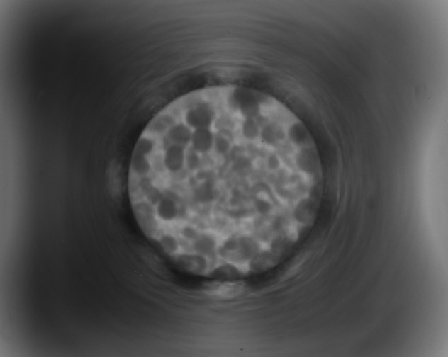 X0000087540135200705251728